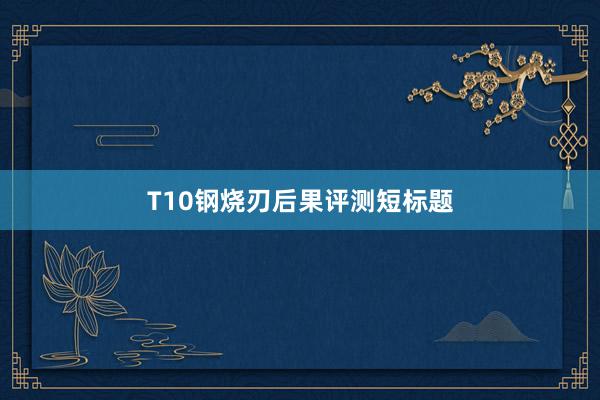 T10钢烧刃后果评测短标题